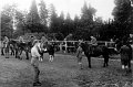 Ditcham Horse Show 1951 
